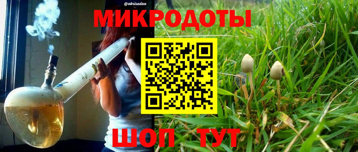 Галлюциногенные грибы Psilocybine cubensis Верхний Уфалей